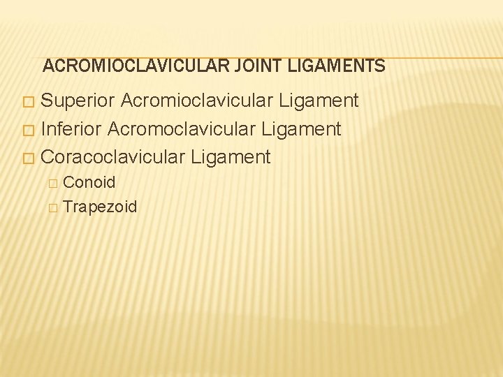 ACROMIOCLAVICULAR JOINT LIGAMENTS Superior Acromioclavicular Ligament � Inferior Acromoclavicular Ligament � Coracoclavicular Ligament �