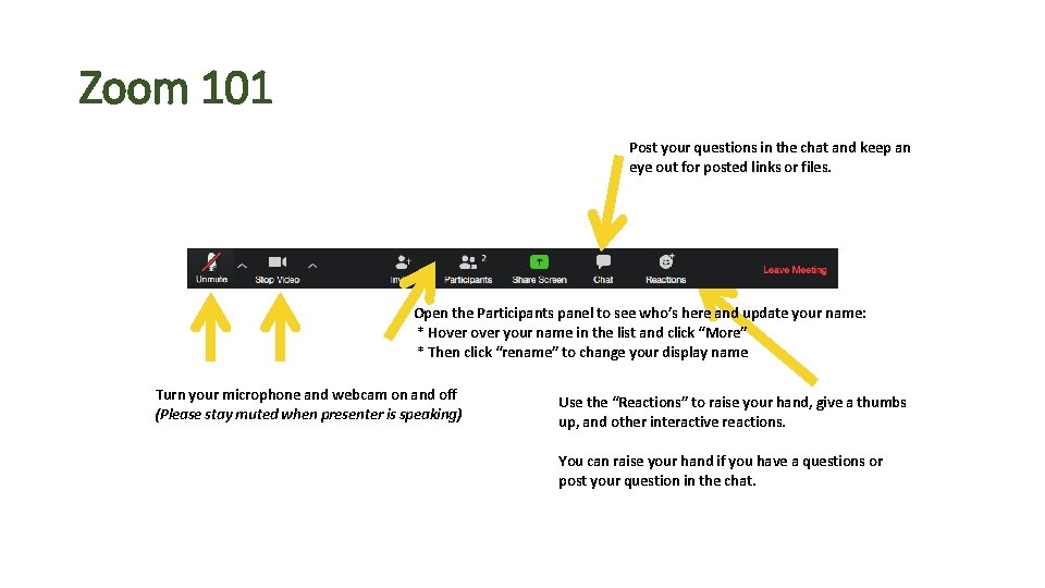 Zoom 101 Post your questions in the chat and keep an eye out for