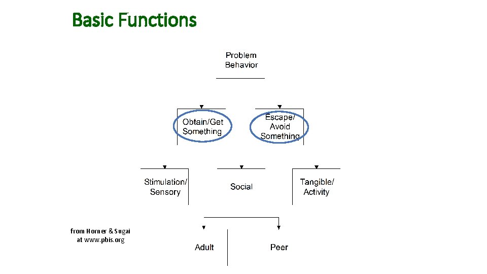 Basic Functions from Horner & Sugai at www. pbis. org 