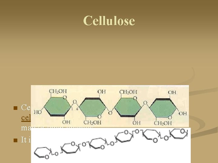 Cellulose n n Cellulose is a structural carbohydrate that forms cell walls in plants.