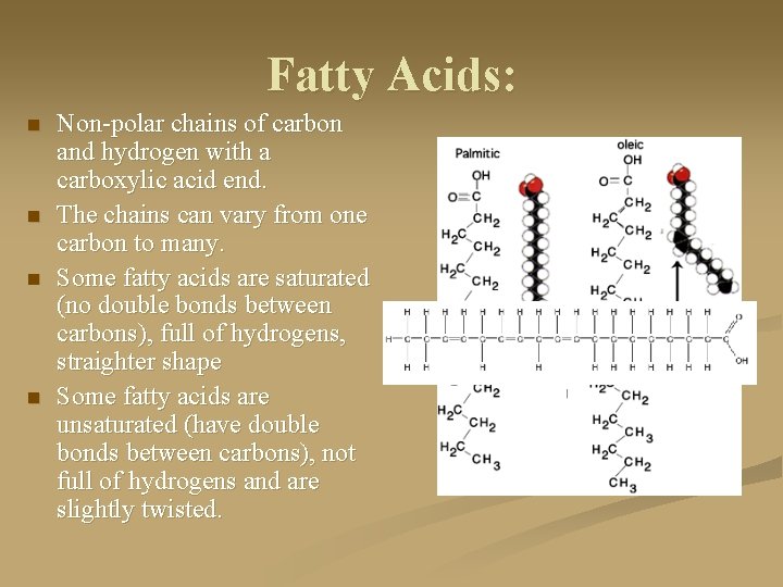 Fatty Acids: n n Non-polar chains of carbon and hydrogen with a carboxylic acid