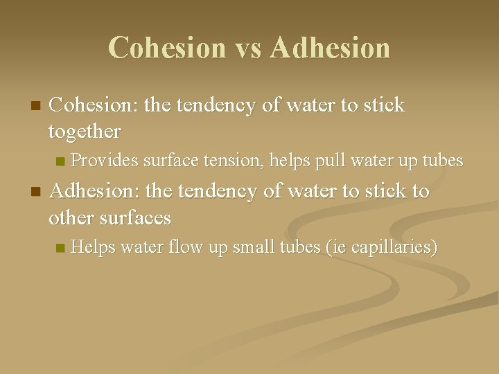 Cohesion vs Adhesion n Cohesion: the tendency of water to stick together n n