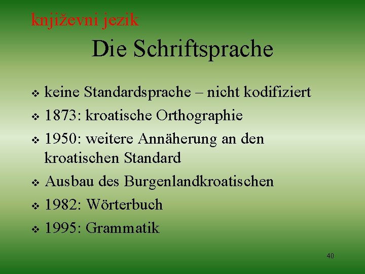 književni jezik Die Schriftsprache keine Standardsprache – nicht kodifiziert v 1873: kroatische Orthographie v