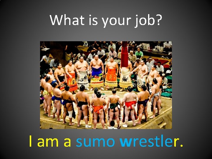 What is your job? I am a sumo wrestler. 