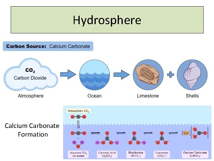 Hydrosphere Calcium Carbonate Formation 