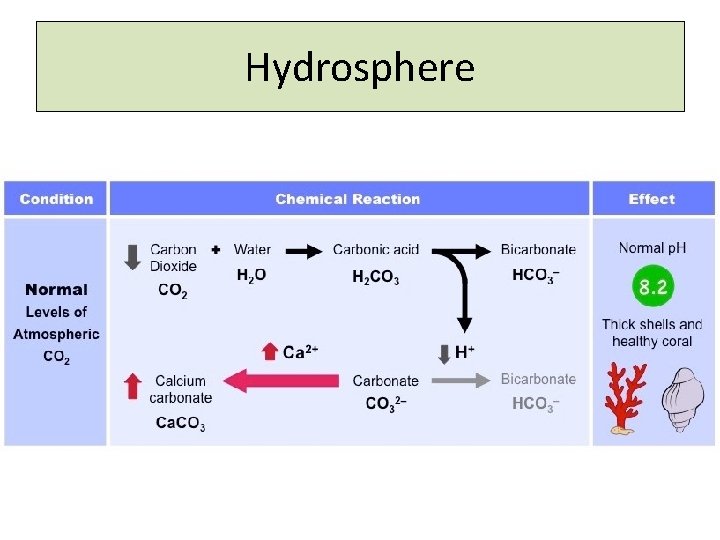 Hydrosphere 