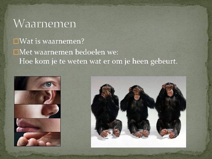 Waarnemen �Wat is waarnemen? �Met waarnemen bedoelen we: Hoe kom je te weten wat
