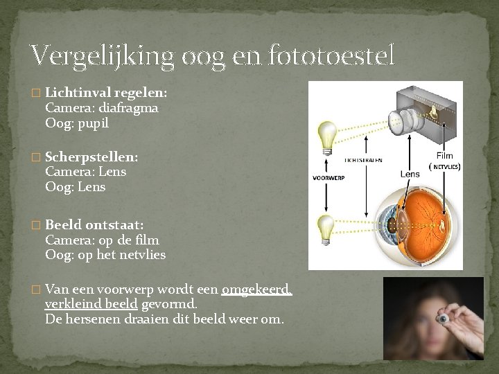 Vergelijking oog en fototoestel � Lichtinval regelen: Camera: diafragma Oog: pupil � Scherpstellen: Camera: