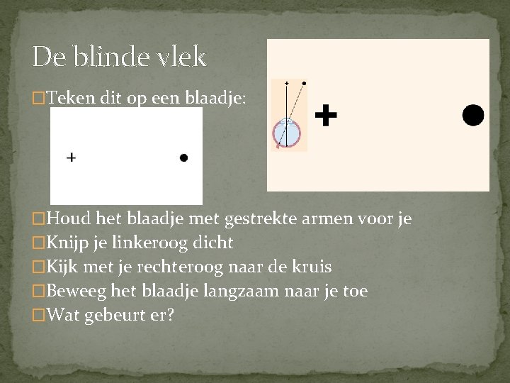 De blinde vlek �Teken dit op een blaadje: �Houd het blaadje met gestrekte armen