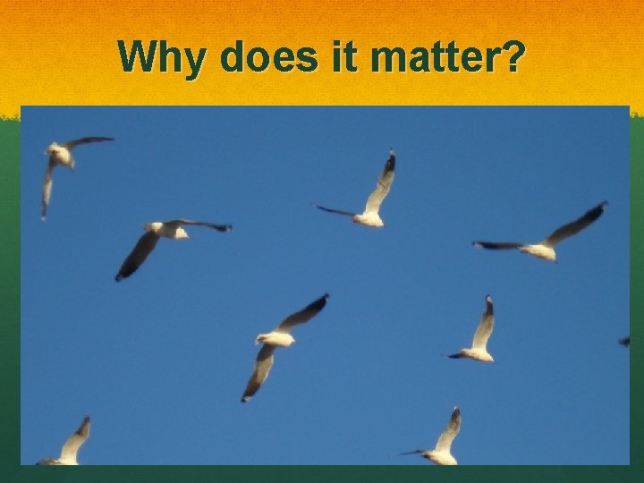 Why does it matter? 