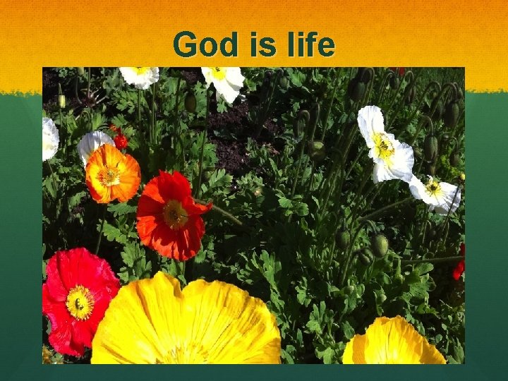 God is life 