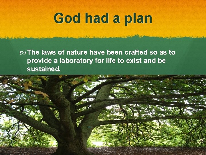 God had a plan The laws of nature have been crafted so as to