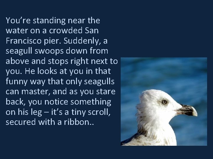 You’re standing near the water on a crowded San Francisco pier. Suddenly, a seagull