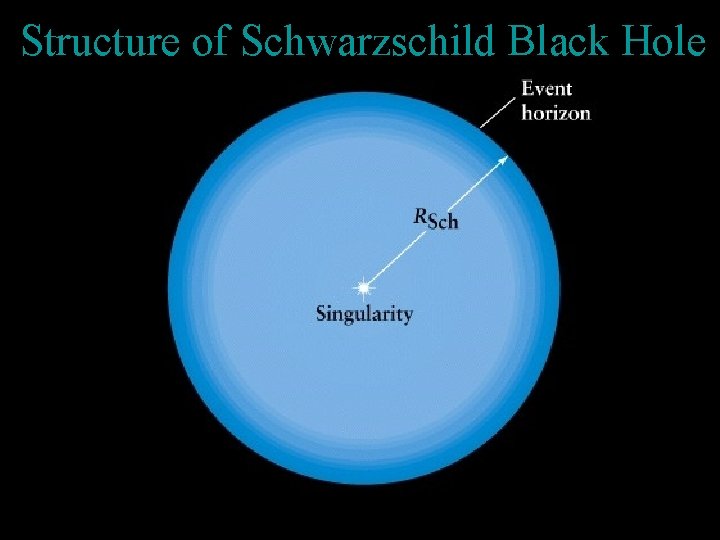 Structure of Schwarzschild Black Hole 