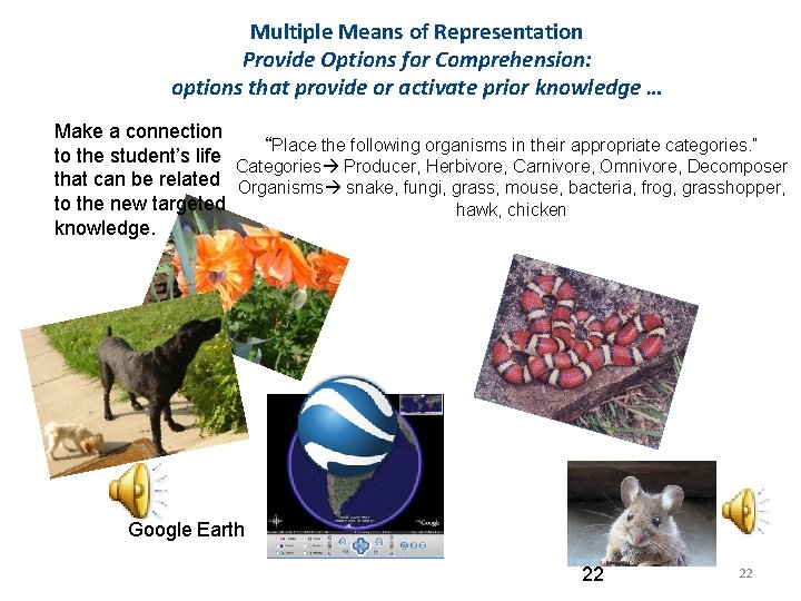 Multiple Means of Representation Provide Options for Comprehension: options that provide or activate prior