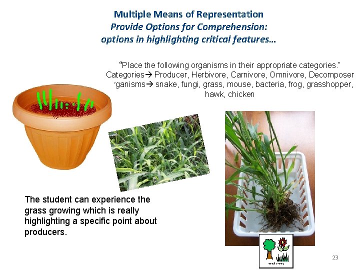 Multiple Means of Representation Provide Options for Comprehension: options in highlighting critical features… “Place