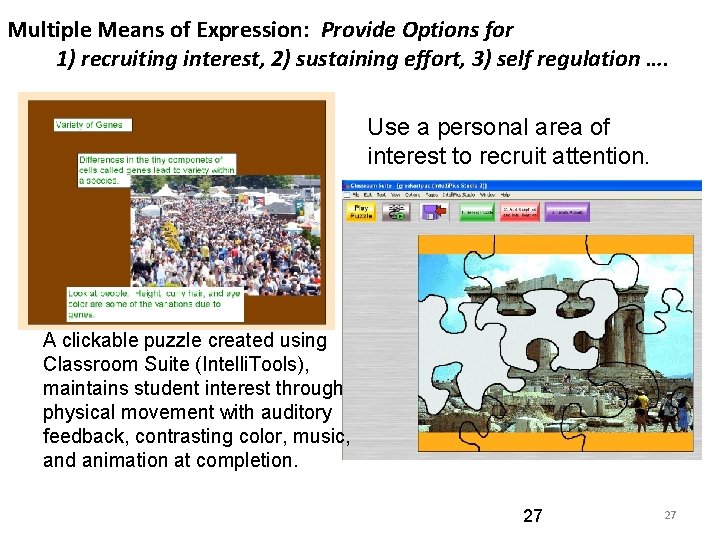 Multiple Means of Expression: Provide Options for 1) recruiting interest, 2) sustaining effort, 3)