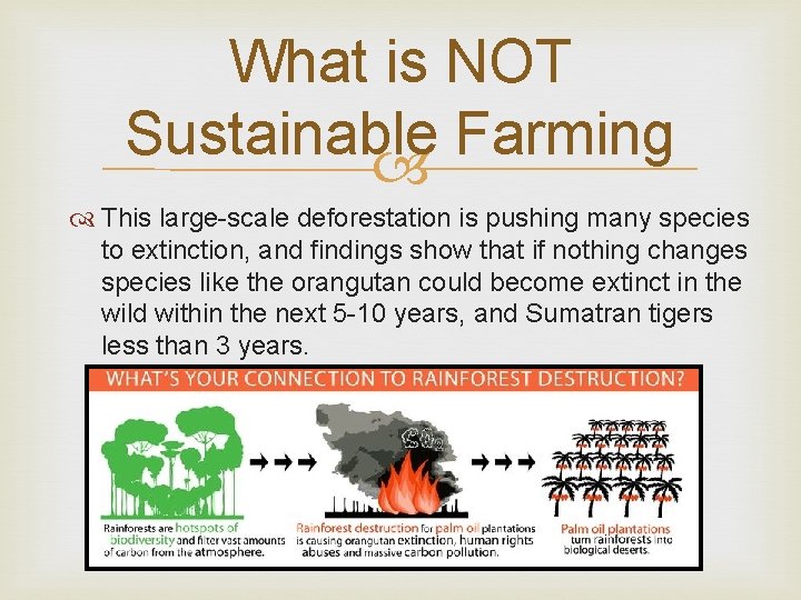 What is NOT Sustainable Farming This large-scale deforestation is pushing many species to extinction,