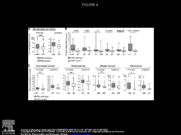 FIGURE 4 Journal of Biological Chemistry 2014 28933020 -33031 DOI: (10. 1074/jbc. M 114.