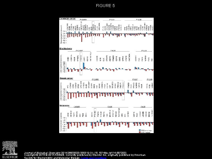 FIGURE 5 Journal of Biological Chemistry 2014 28933020 -33031 DOI: (10. 1074/jbc. M 114.