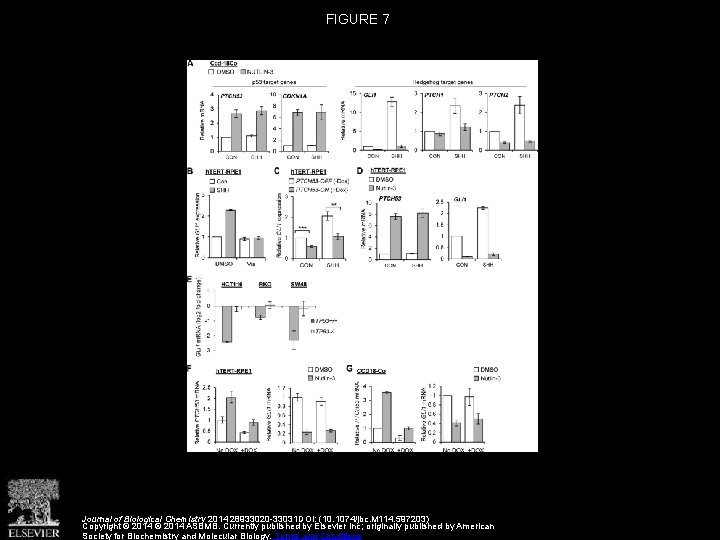 FIGURE 7 Journal of Biological Chemistry 2014 28933020 -33031 DOI: (10. 1074/jbc. M 114.