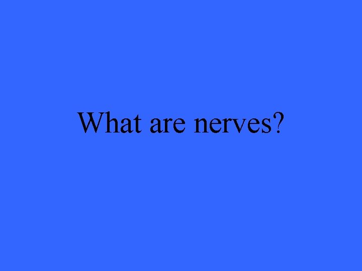 What are nerves? 