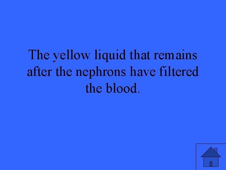 The yellow liquid that remains after the nephrons have filtered the blood. 