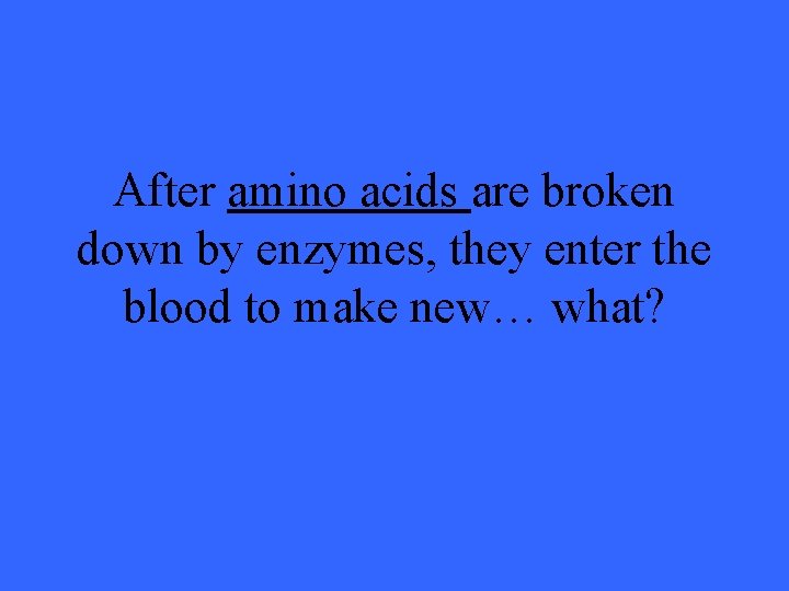 After amino acids are broken down by enzymes, they enter the blood to make