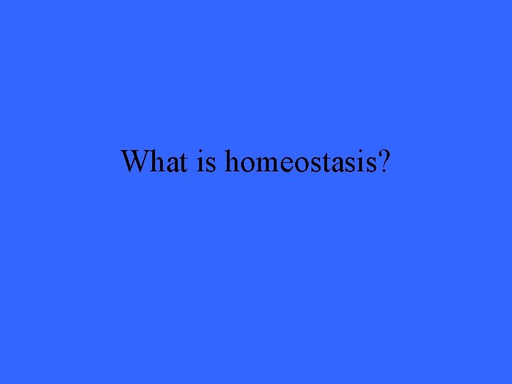 What is homeostasis? 