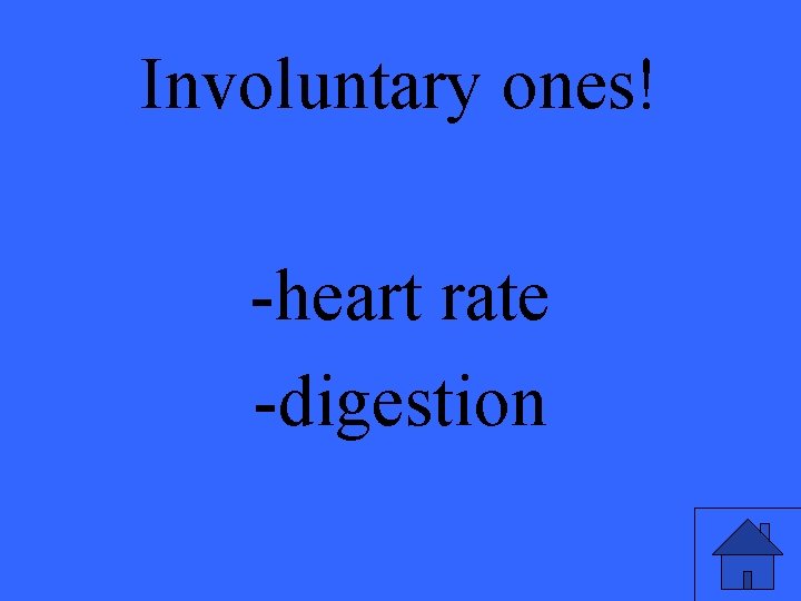 Involuntary ones! -heart rate -digestion 