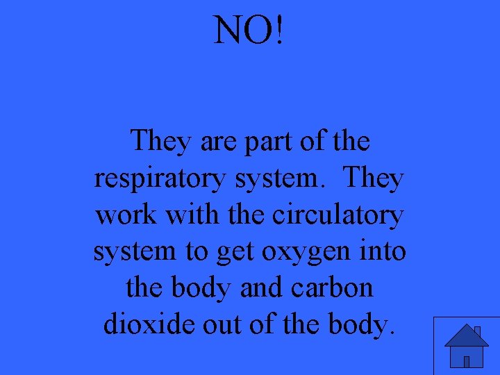 NO! They are part of the respiratory system. They work with the circulatory system