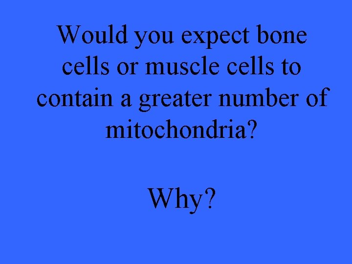 Would you expect bone cells or muscle cells to contain a greater number of