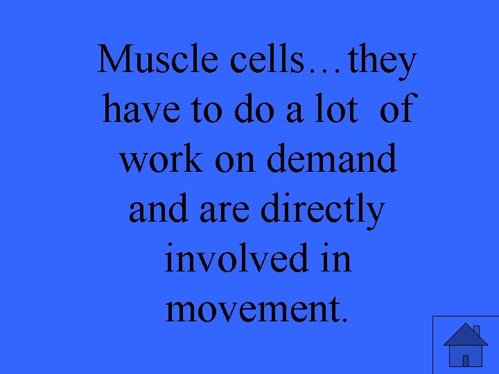 Muscle cells…they have to do a lot of work on demand are directly involved