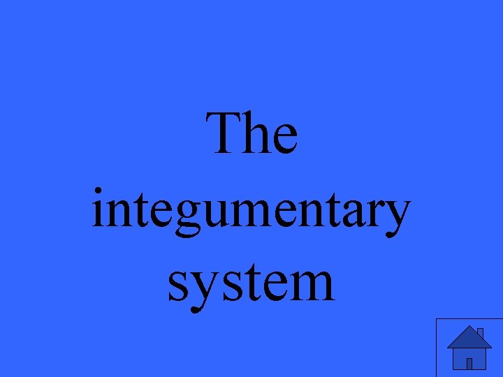 The integumentary system 