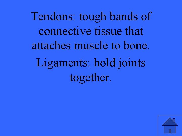 Tendons: tough bands of connective tissue that attaches muscle to bone. Ligaments: hold joints