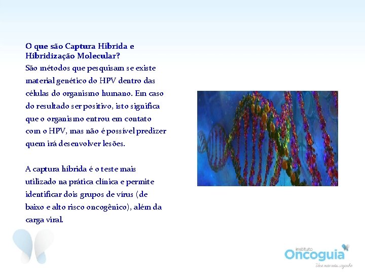 O que são Captura Híbrida e Hibridização Molecular? São métodos que pesquisam se existe