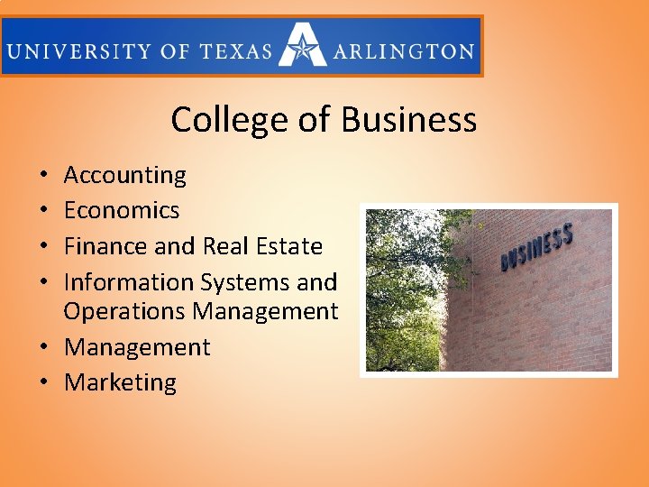 College of Business Accounting Economics Finance and Real Estate Information Systems and Operations Management