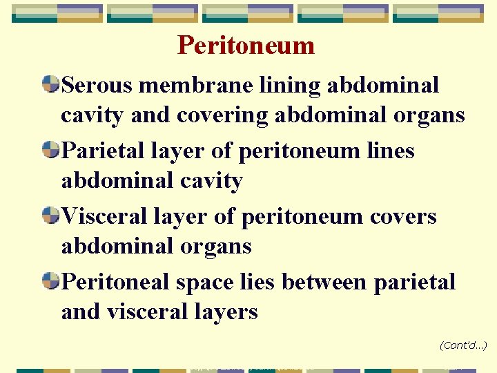 Chapter 15 The Digestive System Copyright 2004 Mosby