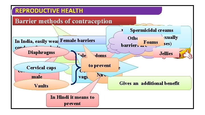 REPRODUCTIVE HEALTH Barrier methods of contraception are. Spermicidal made ofcreams Provides protection from How