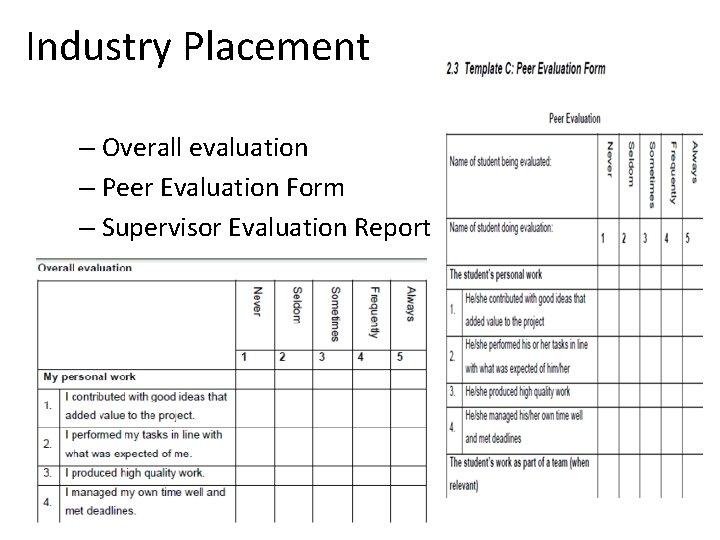 Industry Placement – Overall evaluation – Peer Evaluation Form – Supervisor Evaluation Report 