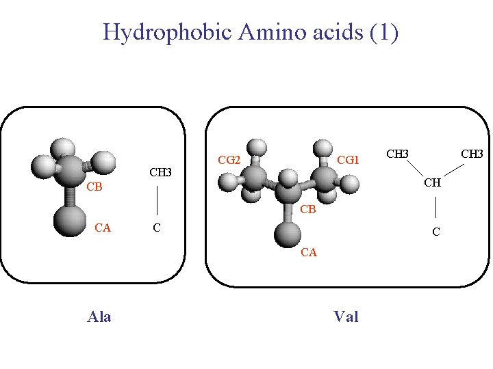 Hydrophobic Amino acids (1) CH 3 CG 2 CG 1 CH 3 CH CB