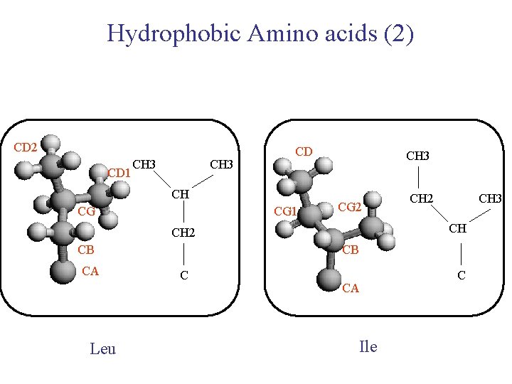 Hydrophobic Amino acids (2) CD 2 CD 1 CH 3 CD CH CG CG