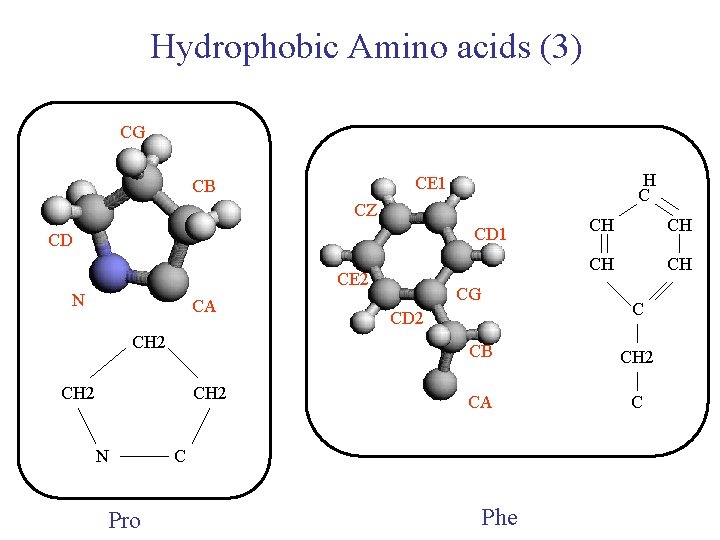Hydrophobic Amino acids (3) CG H C CE 1 CB CZ CD 1 CD