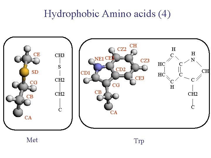 Hydrophobic Amino acids (4) CE SD CG CB CZ 2 CH 3 S Met