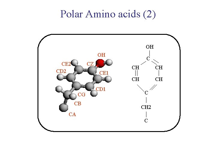 Polar Amino acids (2) OH OH CE 2 CD 2 CZ CE 1 CG