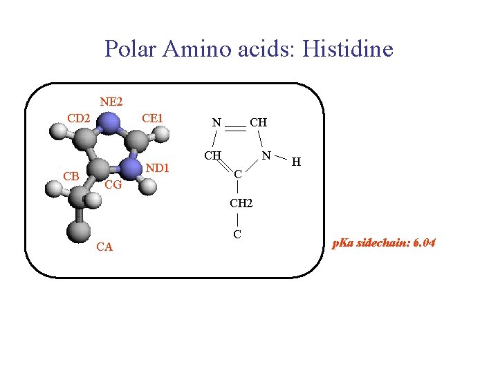Polar Amino acids: Histidine NE 2 CD 2 CB CE 1 ND 1 CG