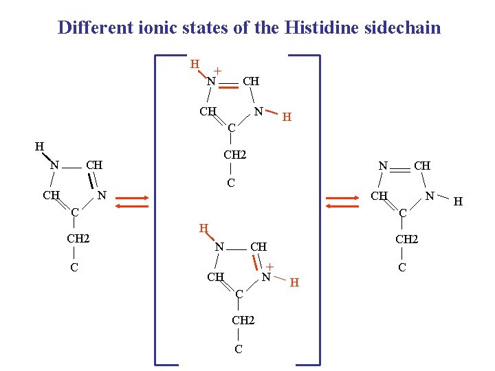 Different ionic states of the Histidine sidechain H + N CH CH N H