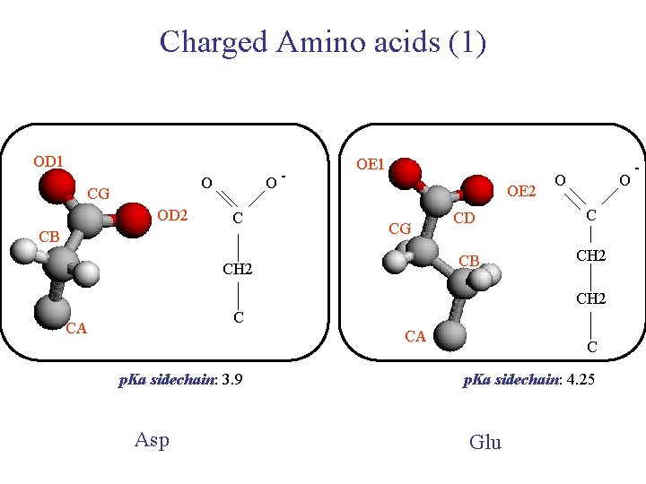 Charged Amino acids (1) OD 1 O- O CG OD 2 C CB OE