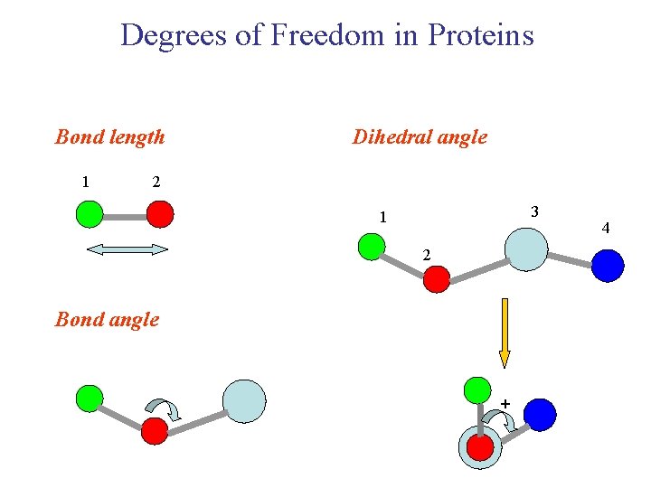 Degrees of Freedom in Proteins Bond length 1 Dihedral angle 2 3 1 2