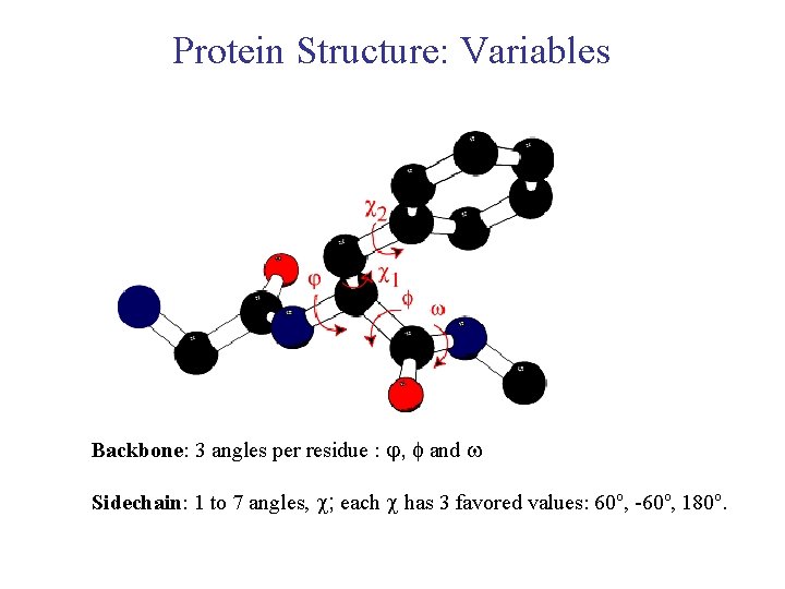 Protein Structure: Variables Backbone: 3 angles per residue : j, f and w Sidechain: